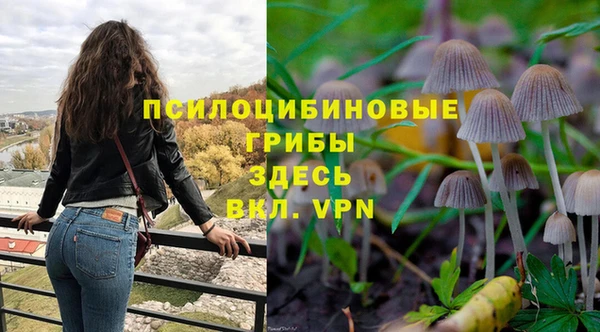 амф Абдулино